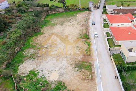 Terra a Terroso, Porto, Terroso - € 130.000 | Ref: RL-130-514 - foto 10