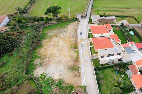 Terra a Terroso, Porto, Terroso - € 130.000 | Ref: RL-130-514 - foto 12