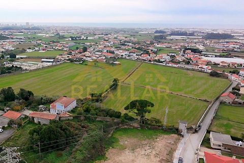 Terra a Terroso, Porto, Terroso - € 130.000 | Ref: RL-130-514 - foto 13