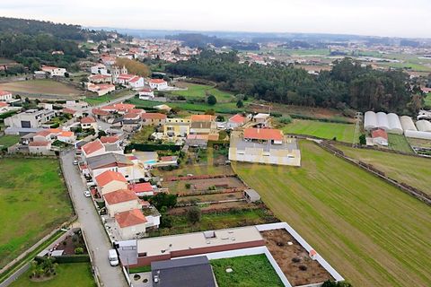 Terra a Terroso, Porto, Terroso - € 130.000 | Ref: RL-130-514 - foto 14