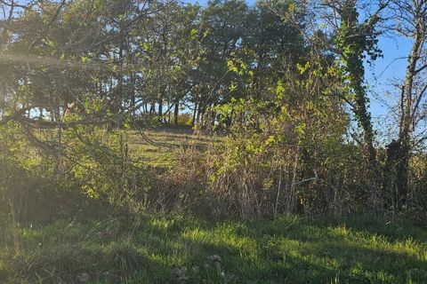 Terra a Pessan, Gers, Pessan - € 60.000 | Ref: 86424797 - foto 5