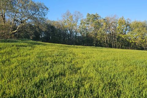 Terra a Pessan, Gers, Pessan - € 60.000 | Ref: 86424797 - foto 8