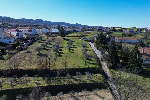 Helårsgrund i Ferro, Castelo Branco, Ferro - € 30.000 | Ref: C0473-00206 - foto 5