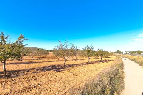 Helårsgrund i Yecla, Murcia, Yecla - € 48.000 | Ref: 40071-PB - foto 2