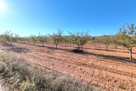 Helårsgrund i Yecla, Murcia, Yecla - € 48.000 | Ref: 40071-PB - foto 3