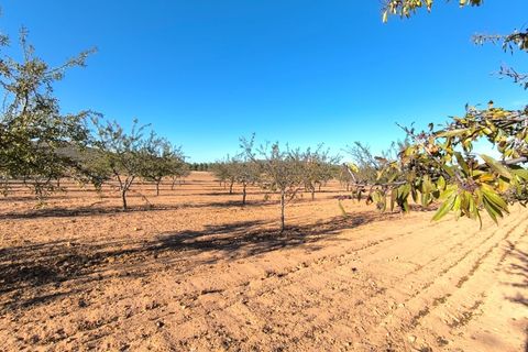 Helårsgrund i Yecla, Murcia, Yecla - € 48.000 | Ref: 40071-PB - foto 4