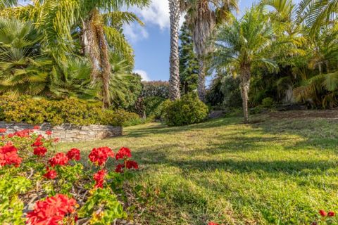 Farm i Funchal, Madeira, Funchal - € 1.245.000 | Ref: KWPT-023798 - foto 10