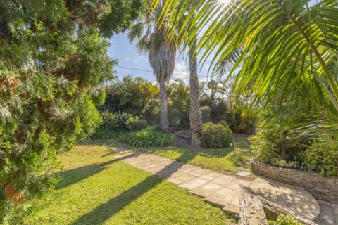 Farm i Funchal, Madeira, Funchal - € 1.245.000 | Ref: KWPT-023798 - foto 11