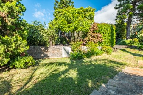 Farm i Funchal, Madeira, Funchal - € 1.245.000 | Ref: KWPT-023798 - foto 5