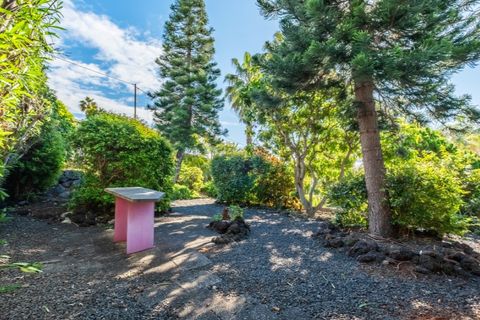 Farm i Funchal, Madeira, Funchal - € 1.245.000 | Ref: KWPT-023798 - foto 6