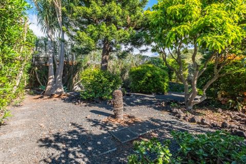 Farm i Funchal, Madeira, Funchal - € 1.245.000 | Ref: KWPT-023798 - foto 7