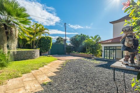 Farm i Funchal, Madeira, Funchal - € 1.245.000 | Ref: KWPT-023798 - foto 12