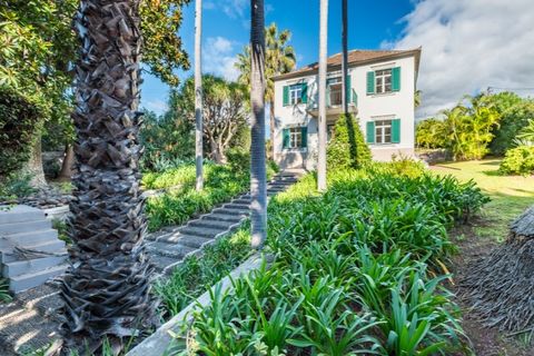 Farm i Funchal, Madeira, Funchal - € 1.245.000 | Ref: KWPT-023798 - foto 38