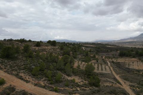 Terra a La Zarza, Murcia, La Zarza - € 45.000 | Ref: IZI-88115 - foto 3