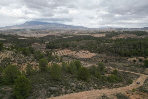 Terra a La Zarza, Murcia, La Zarza - € 45.000 | Ref: IZI-88115 - foto 5