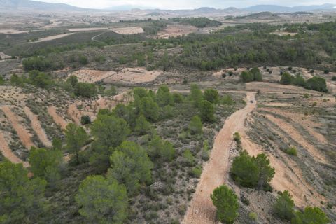 Terra a La Zarza, Murcia, La Zarza - € 45.000 | Ref: IZI-88115 - foto 6