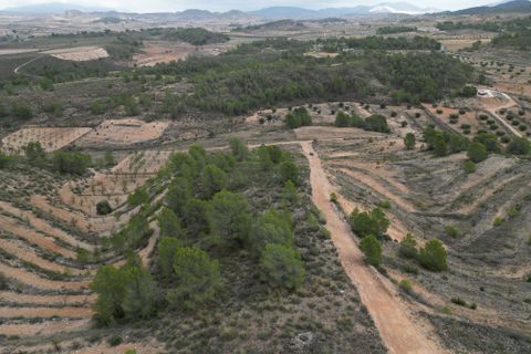 Terra a La Zarza, Murcia, La Zarza - € 45.000 | Ref: IZI-88115 - foto 7