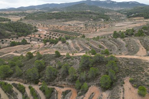 Terra a La Zarza, Murcia, La Zarza - € 45.000 | Ref: IZI-88115 - foto 8