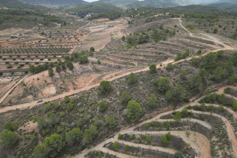 Terra a La Zarza, Murcia, La Zarza - € 45.000 | Ref: IZI-88115 - foto 10
