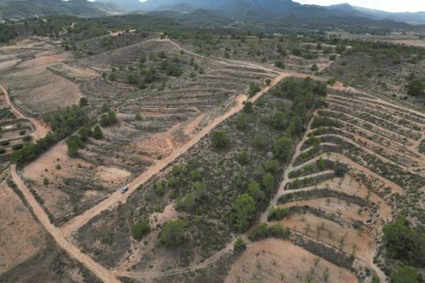 Terra a La Zarza, Murcia, La Zarza - € 45.000 | Ref: IZI-88115 - foto 11