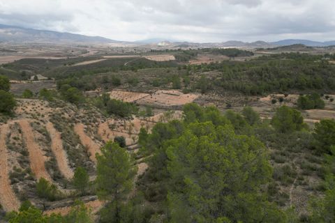 Terra a La Zarza, Murcia, La Zarza - € 45.000 | Ref: IZI-88115 - foto 12