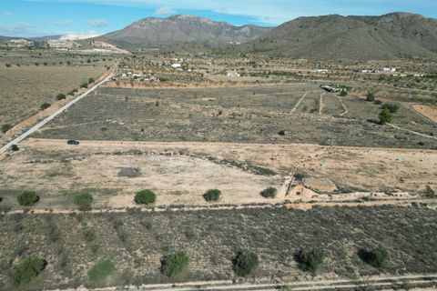 Terra a Barbarroja, Alicante, Barbarroja - € 55.000 | Ref: IZI-50652 - foto 3