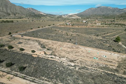 Terra a Barbarroja, Alicante, Barbarroja - € 55.000 | Ref: IZI-50652 - foto 5