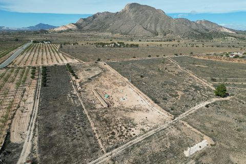 Terra a Barbarroja, Alicante, Barbarroja - € 55.000 | Ref: IZI-50652 - foto 7
