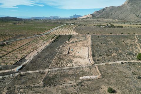 Terra a Barbarroja, Alicante, Barbarroja - € 55.000 | Ref: IZI-50652 - foto 8