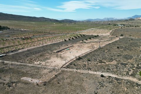 Terra a Barbarroja, Alicante, Barbarroja - € 55.000 | Ref: IZI-50652 - foto 10
