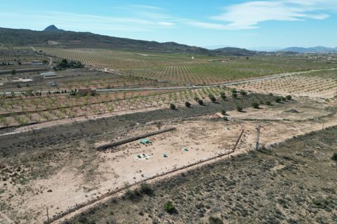Terra a Barbarroja, Alicante, Barbarroja - € 55.000 | Ref: IZI-50652 - foto 11