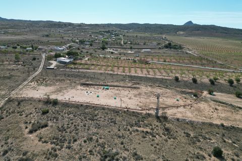 Terra a Barbarroja, Alicante, Barbarroja - € 55.000 | Ref: IZI-50652 - foto 13
