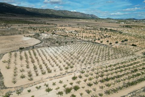Helårsgrund i Pinoso, Alicante, Pinoso - € 49.500 | Ref: IZI-18288 - foto 2