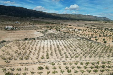 Helårsgrund i Pinoso, Alicante, Pinoso - € 49.500 | Ref: IZI-18288 - foto 3