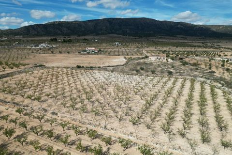 Helårsgrund i Pinoso, Alicante, Pinoso - € 49.500 | Ref: IZI-18288 - foto 5