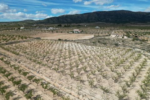 Helårsgrund i Pinoso, Alicante, Pinoso - € 49.500 | Ref: IZI-18288 - foto 6