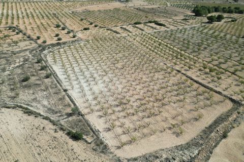 Helårsgrund i Pinoso, Alicante, Pinoso - € 49.500 | Ref: IZI-18288 - foto 14
