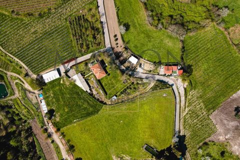 Villa a Penafiel, Porto, Penafiel - € 465.000 | Ref: MP-EF-M-302 - foto 32