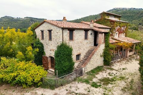 Villa i Baschi, Terni, Baschi - € 774.000 | Ref: Corbara02 - foto 45