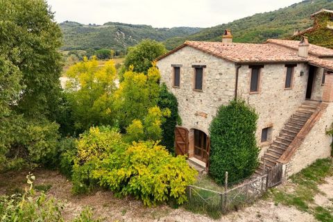 Villa i Baschi, Terni, Baschi - € 774.000 | Ref: Corbara02 - foto 46