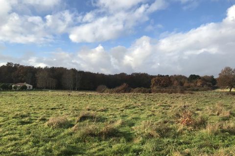 Helårsgrund i Lanquais, Dordogne, Lanquais - € 17.000 | Ref: BECF737 - foto 1