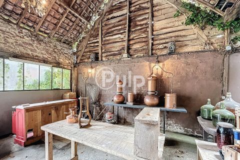 Villa a Hesdin, Pas-de-Calais, Hesdin - € 367.500 | Ref: hesf16615 - foto 13