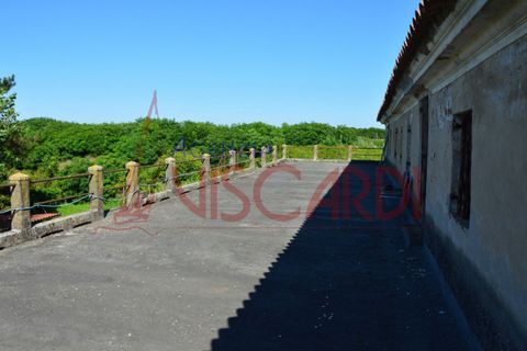 Villa i Caorle, Venice, Caorle - € 600.000 | Ref: V067 - foto 11