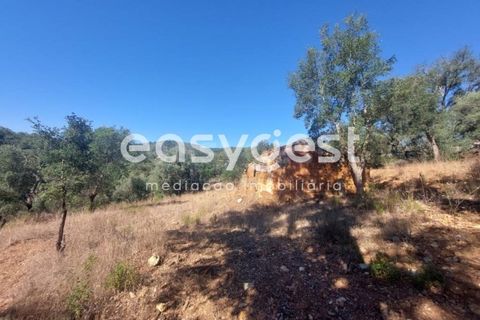 Farm hus i Odemira, Beja, Odemira - € 53.000 | Ref: BJ93873 - foto 3