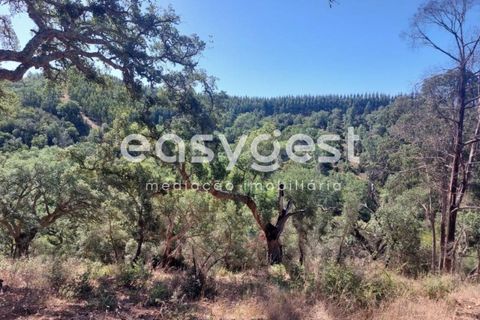 Farm hus i Odemira, Beja, Odemira - € 53.000 | Ref: BJ93873 - foto 4