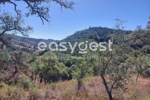 Farm hus i Odemira, Beja, Odemira - € 53.000 | Ref: BJ93873 - foto 7