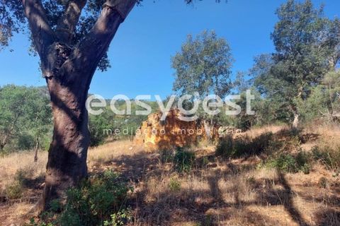 Farm hus i Odemira, Beja, Odemira - € 53.000 | Ref: BJ93873 - foto 8