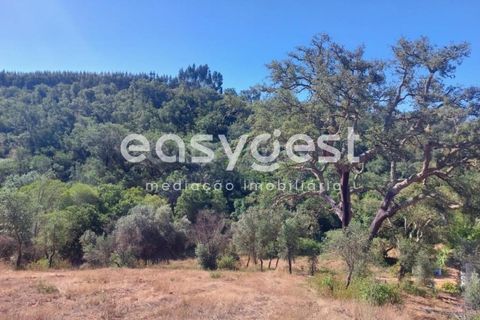 Farm hus i Odemira, Beja, Odemira - € 53.000 | Ref: BJ93873 - foto 11