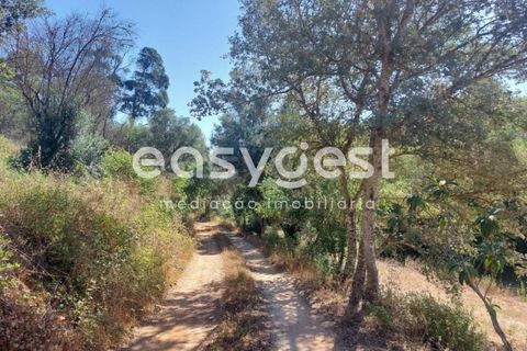 Farm hus i Odemira, Beja, Odemira - € 53.000 | Ref: BJ93873 - foto 12