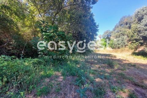 Farm hus i Odemira, Beja, Odemira - € 53.000 | Ref: BJ93873 - foto 13